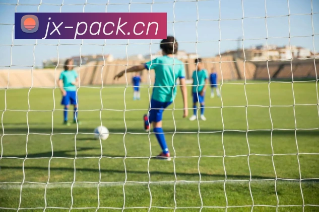 星空体育(中国)官网品牌故事